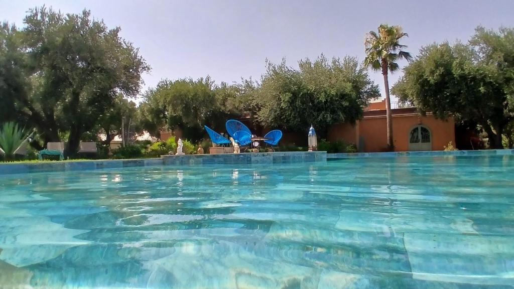 a large swimming pool with trees in the background at Dar HISANE in Marrakesh