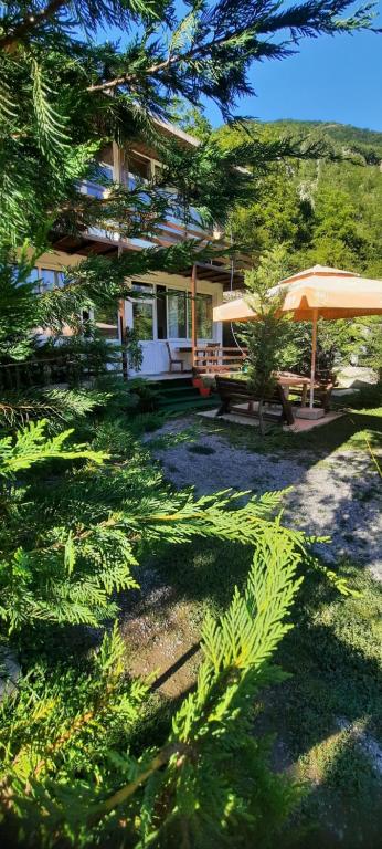 a house with a picnic table and some trees at Mikel Center Theth Guesthouse in Shkodër
