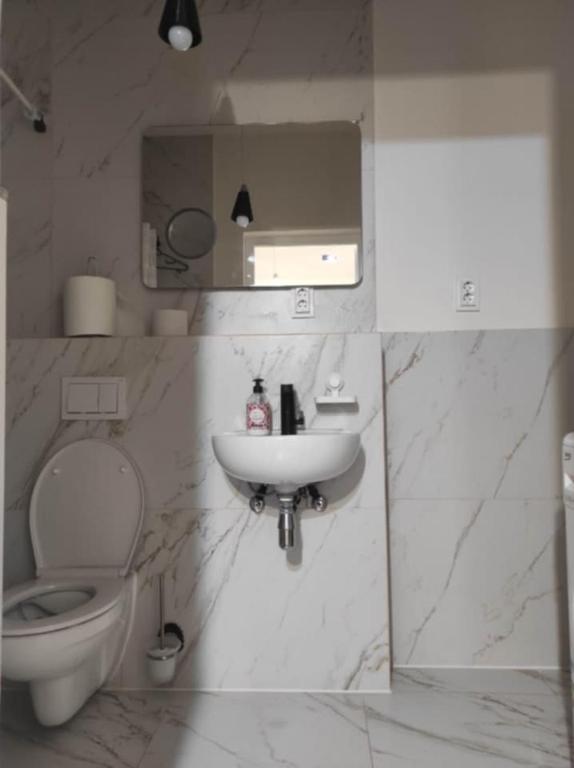 a bathroom with a sink and a toilet at Sleeping house in Cluj-Napoca