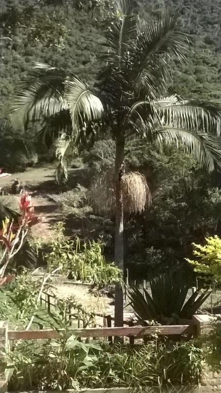  Farm Muquem