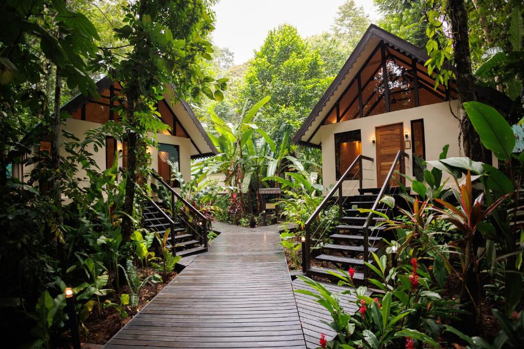 a wooden path leading to a house in the forest at Almonds & Corals Boutique Hotel in Puerto Viejo