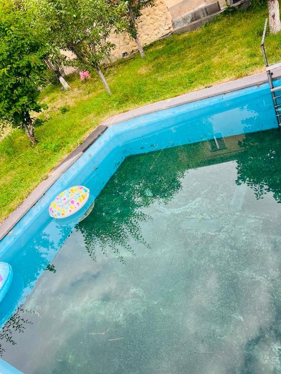 an overhead view of a swimming pool with a polka dot object at Gariks house in Lichkʼ