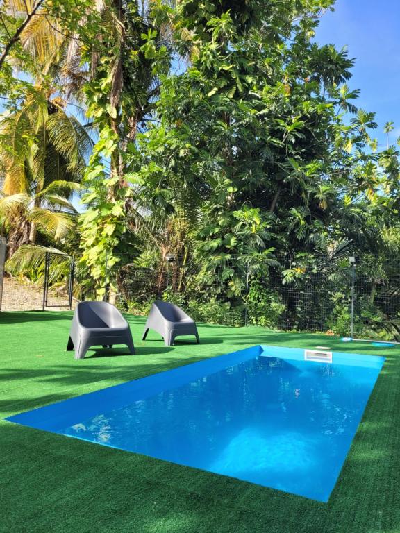 a pool in the middle of a green yard with trees at Ti cocon nature in Sainte-Anne