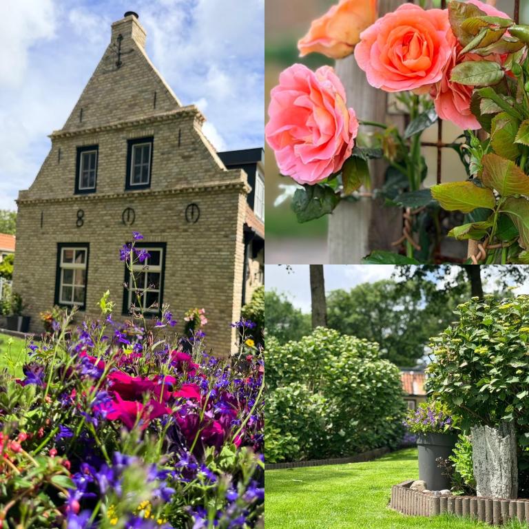 a collage of pictures of flowers in front of a house at Ut ânker fan de Jong in Hollum