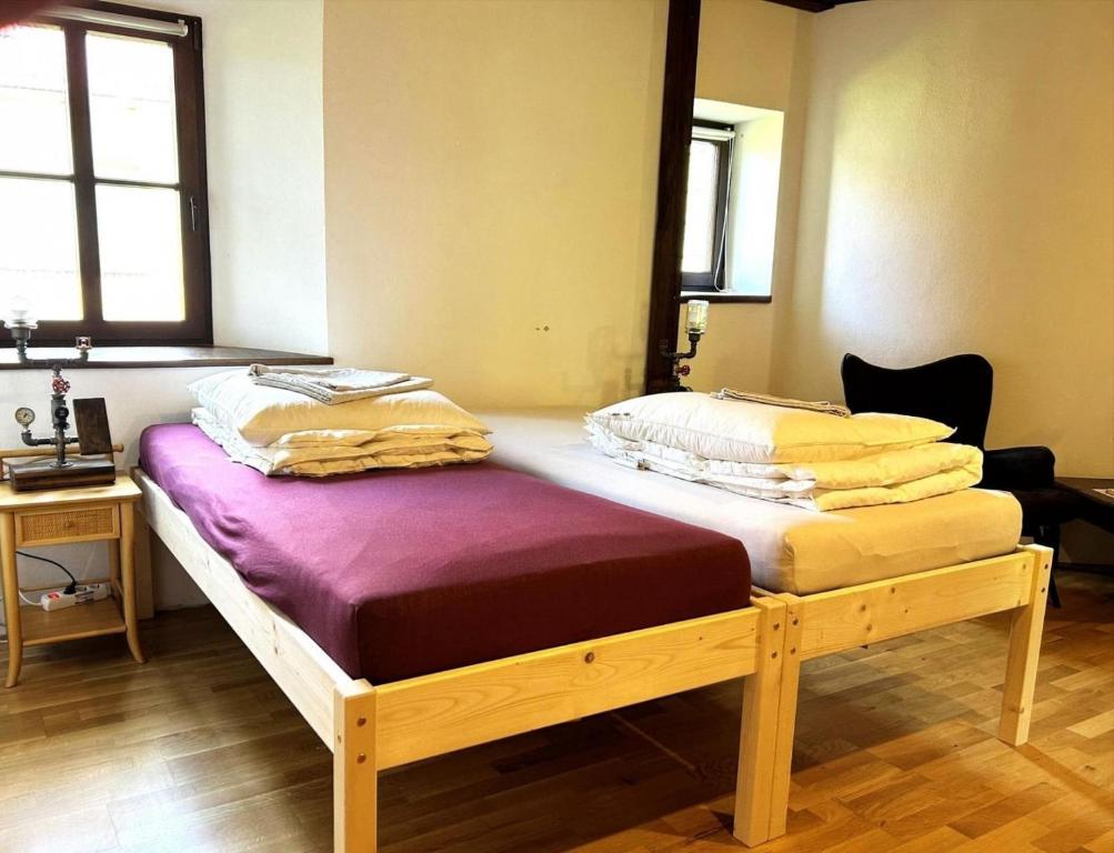 two twin beds in a room with two windows at Ferienwohnung Penzlin im Rittergut Leppersdorf in Leppersdorf