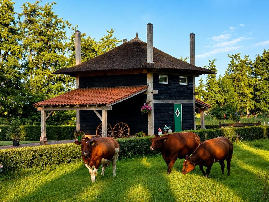 a group of cows standing in the grass in front of a house at Het Westende in Rouveen
