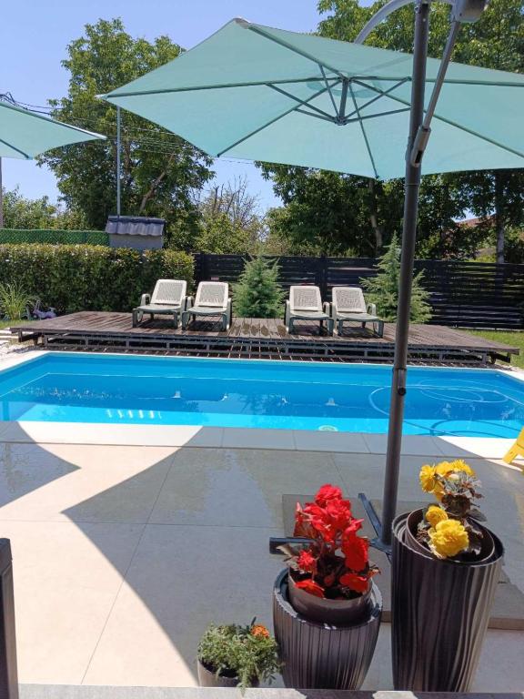 a blue umbrella sitting next to a swimming pool at MARINA HOUSE pool & garden in Beograd