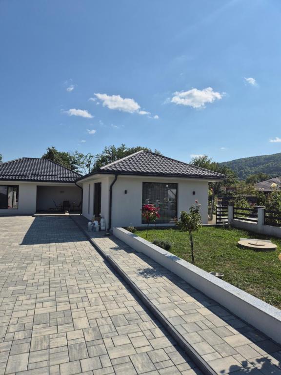 a house with a brick driveway in front of it at Gusturi din Livadă in Costeşti-Vîlsan