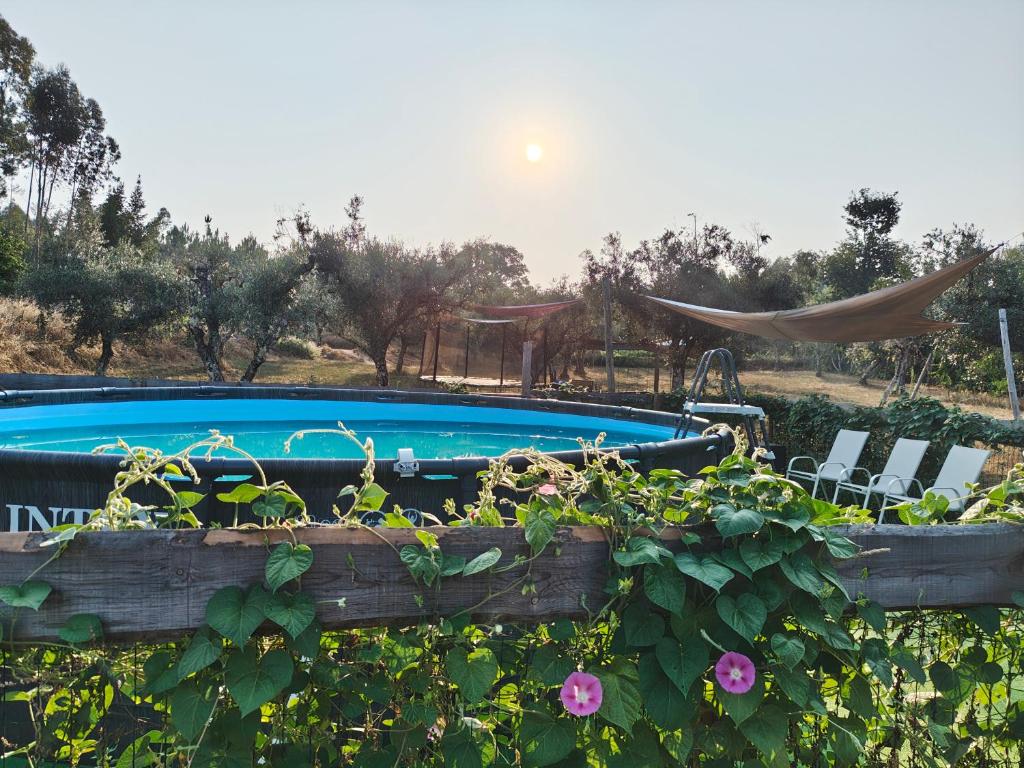 ein Swimmingpool mit vielen Pflanzen und Blumen in der Unterkunft Quinta Lima in Sertã