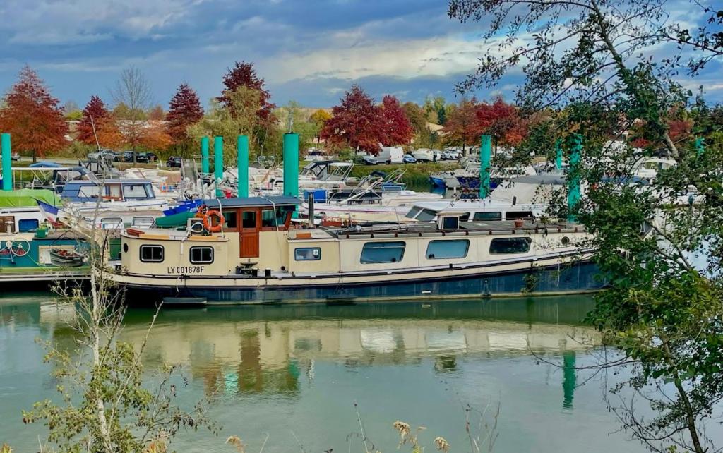 a group of boats docked in a harbor at Péniche Mary in Reyssouze