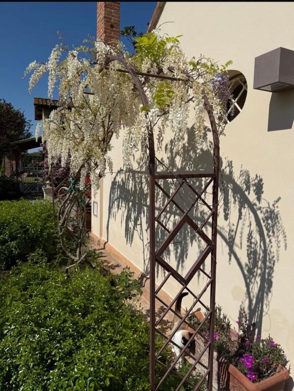 a tree with white flowers on it next to a building at 27 Arte Bientina in Bientina