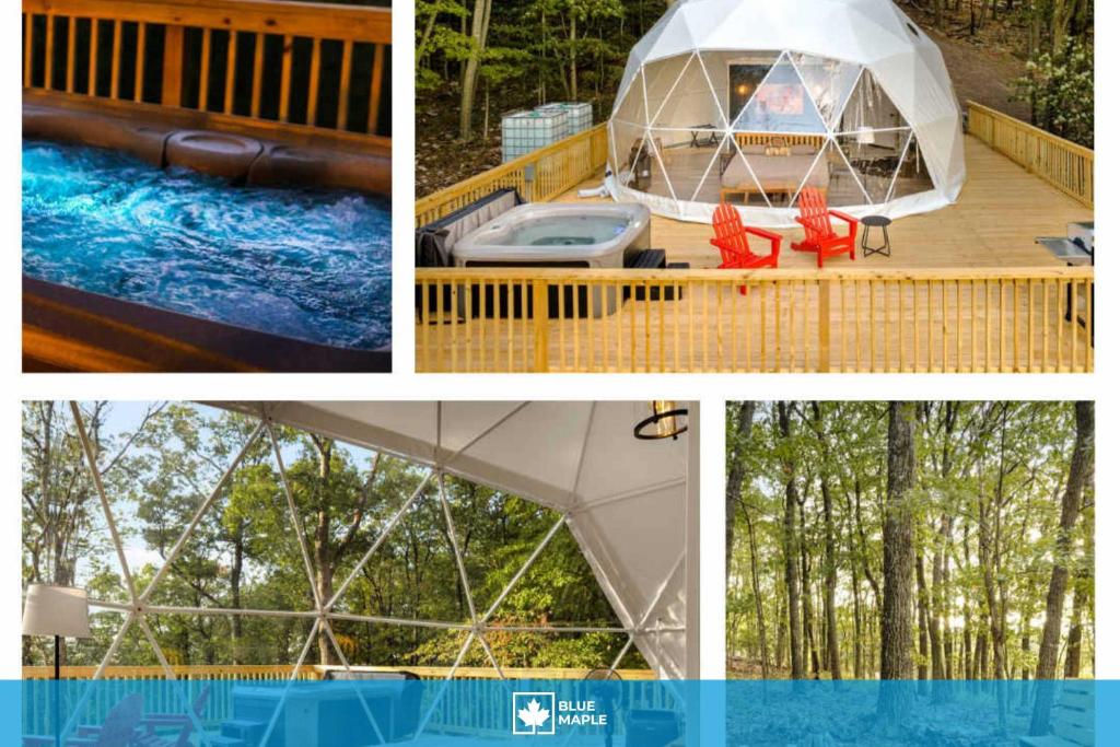 a collage of four pictures of a iguana resort at Glamping dome w hot tub & mountain views in Augusta