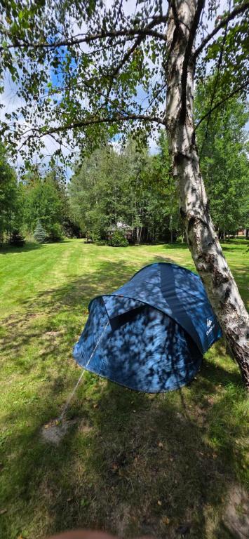 a blue umbrella laying on the ground next to a tree at Glamping Dedovles Vlastný stan in Vyšné Hágy