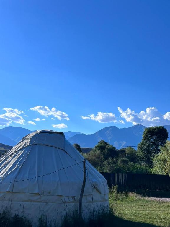 a tent in a field with mountains in the background at Yurtcamp AltynBalyk in Chayek
