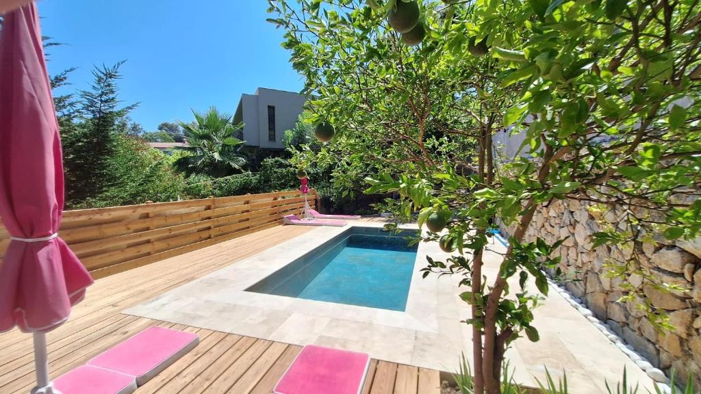 a swimming pool in a garden with a tree at Villa Pibinson 3 chambres - piscine in Mougins