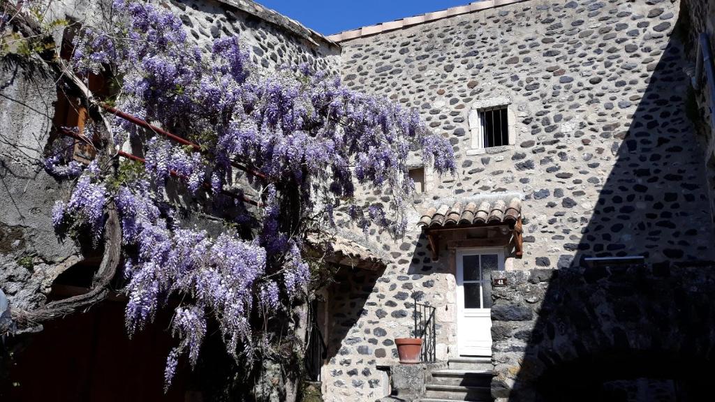 a wisteria tree hanging over the side of a building at Brimborion in Alba-la-Romaine