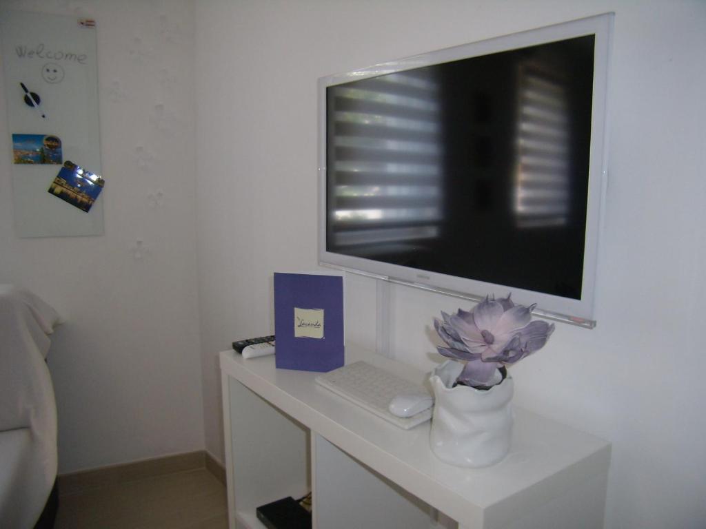 TV a/nebo společenská místnost v ubytování Studio Apartment Lavender