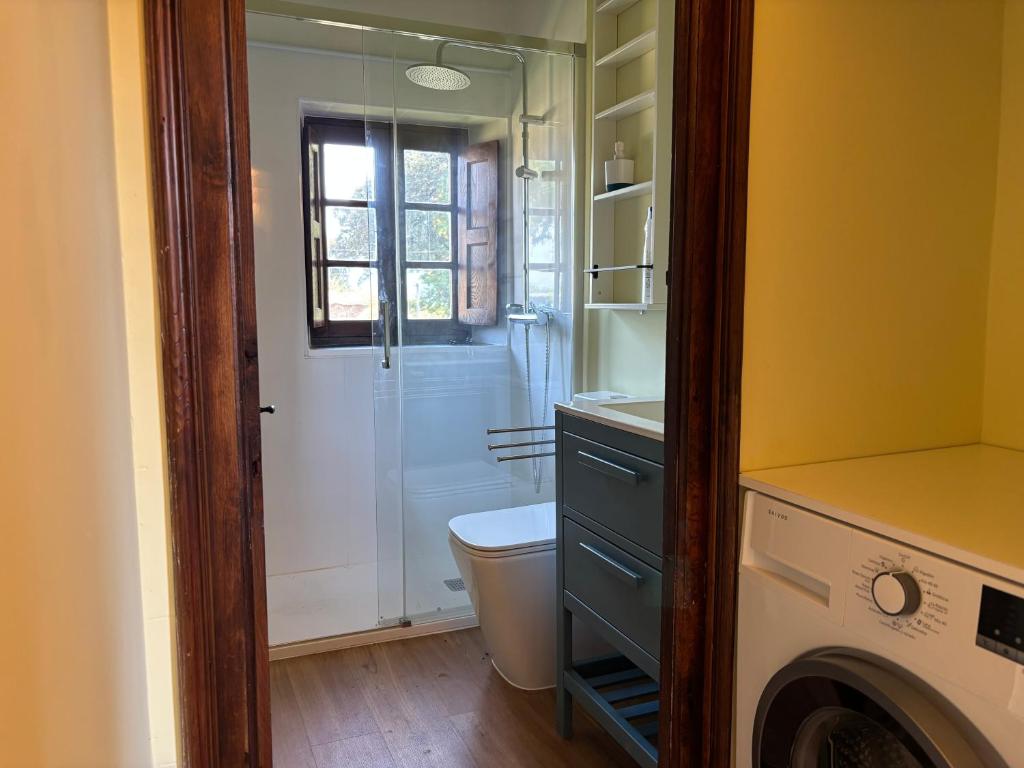 a bathroom with a toilet and a sink and a mirror at Casita Madernia in Molledo