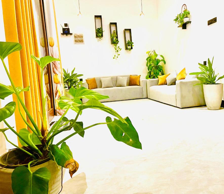 a living room filled with lots of plants at Villa Lithu in Weligama