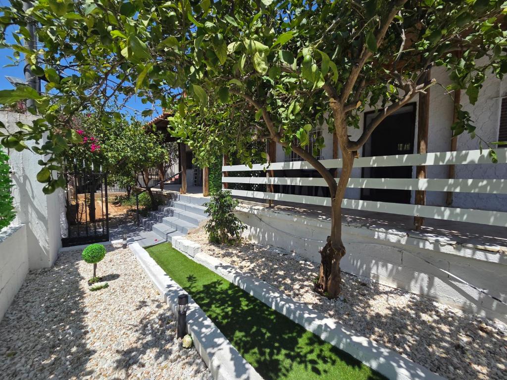a tree in a garden next to a white fence at Greek Memories in Artemida