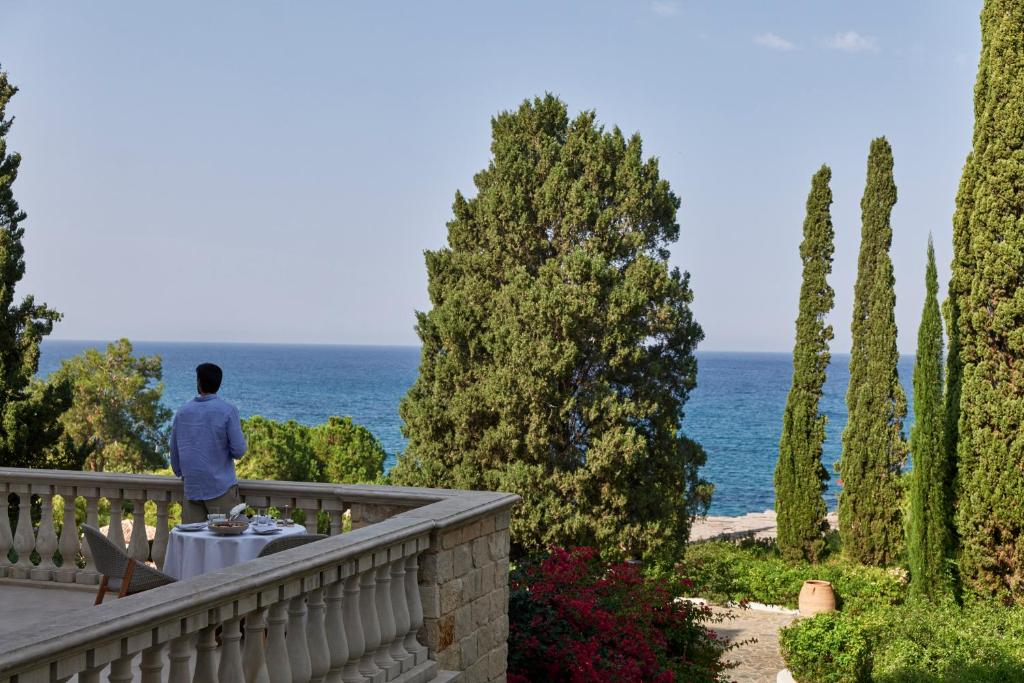 Anassa photo 2