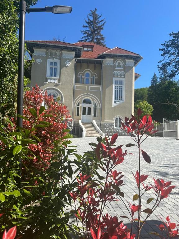 a house with red flowers in front of it at Vila Popovici in Prăjila