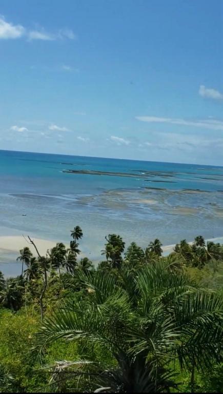 a view of a beach with trees and the ocean at Flor de Lótus Privilege in Japaratinga