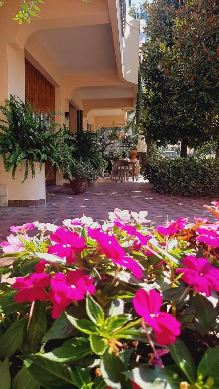 a bunch of pink flowers in front of a building at Baki B&B in Rimini