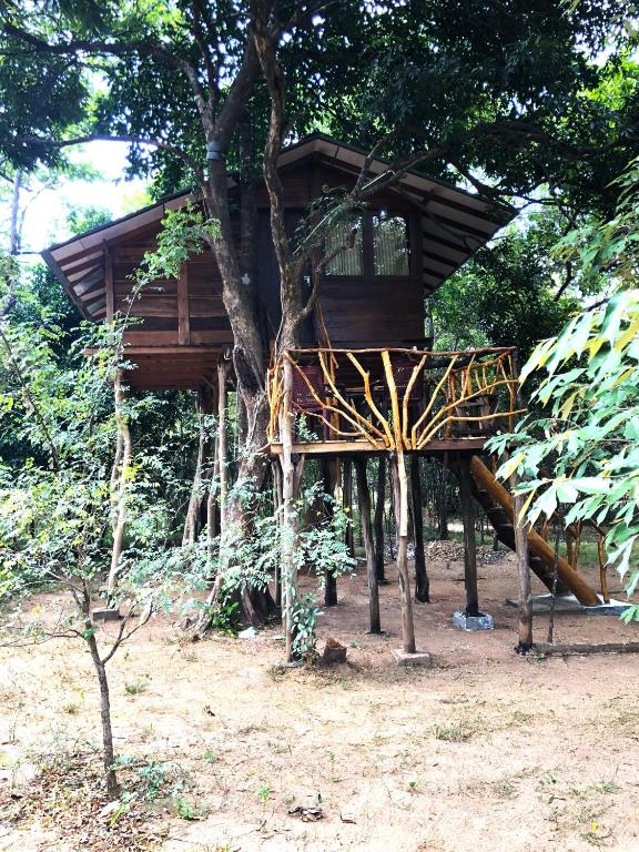 a tree house in the middle of a tree at Sky Forest in Habarana