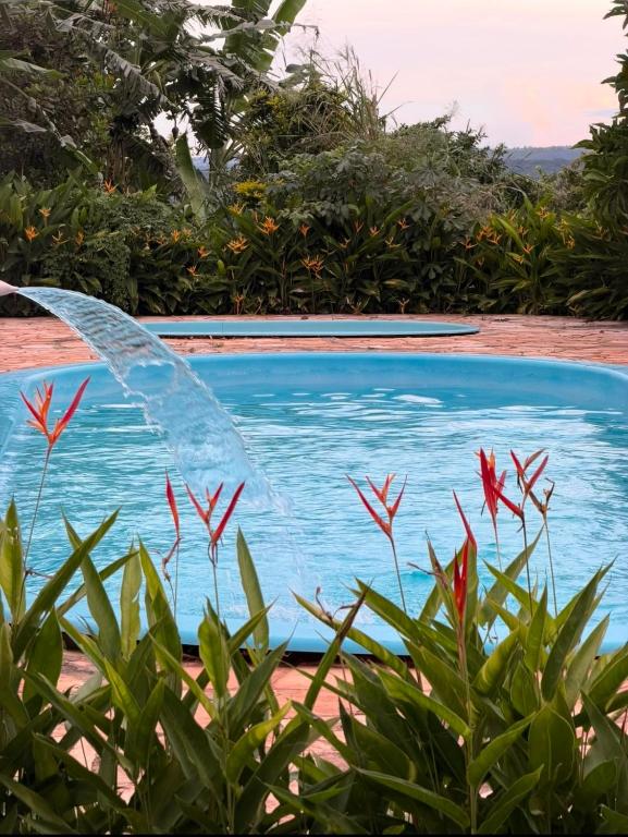 a swimming pool with plants in the foreground at Pousada Shopping do Sono in Jaciara