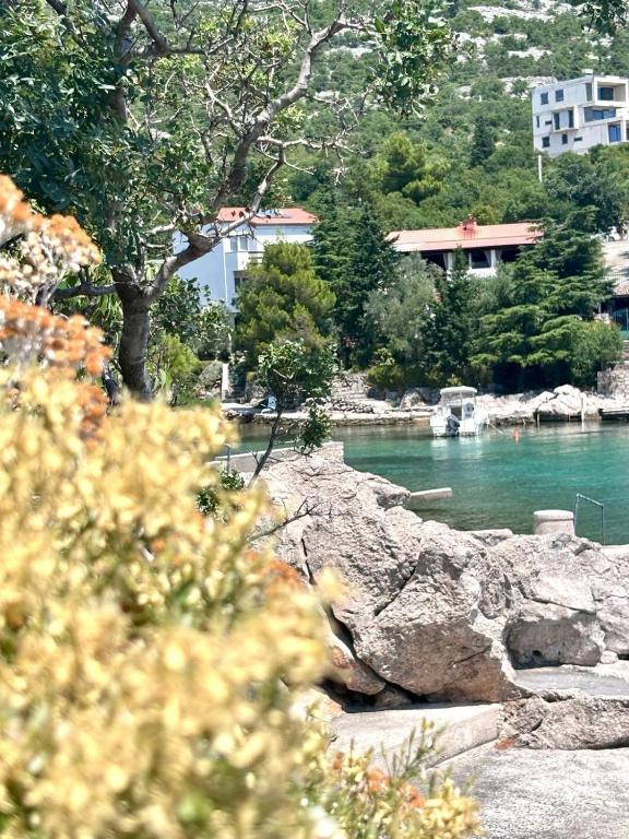 a view of a river with buildings and trees at Ribarica GO green 2 in Ribarica