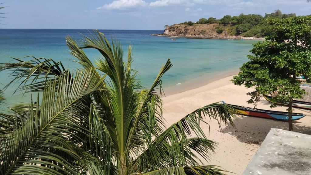 a palm tree sitting on a beach next to the ocean at Blue Ocean Hotel in Trincomalee