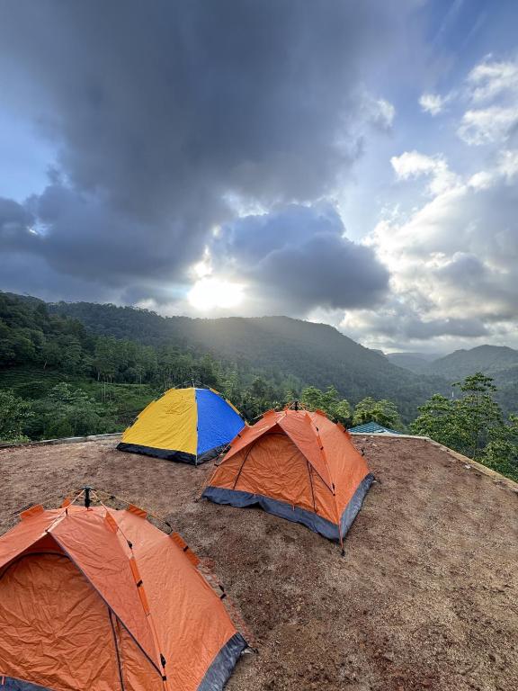 a group of three tents on top of a hill at Sinharaja Eco Camp in Deniyaya
