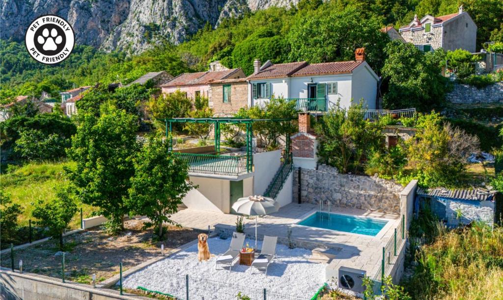 an image of a house with a swimming pool at House Dida Mate - cozy house in nature with heated pool in Tučepi