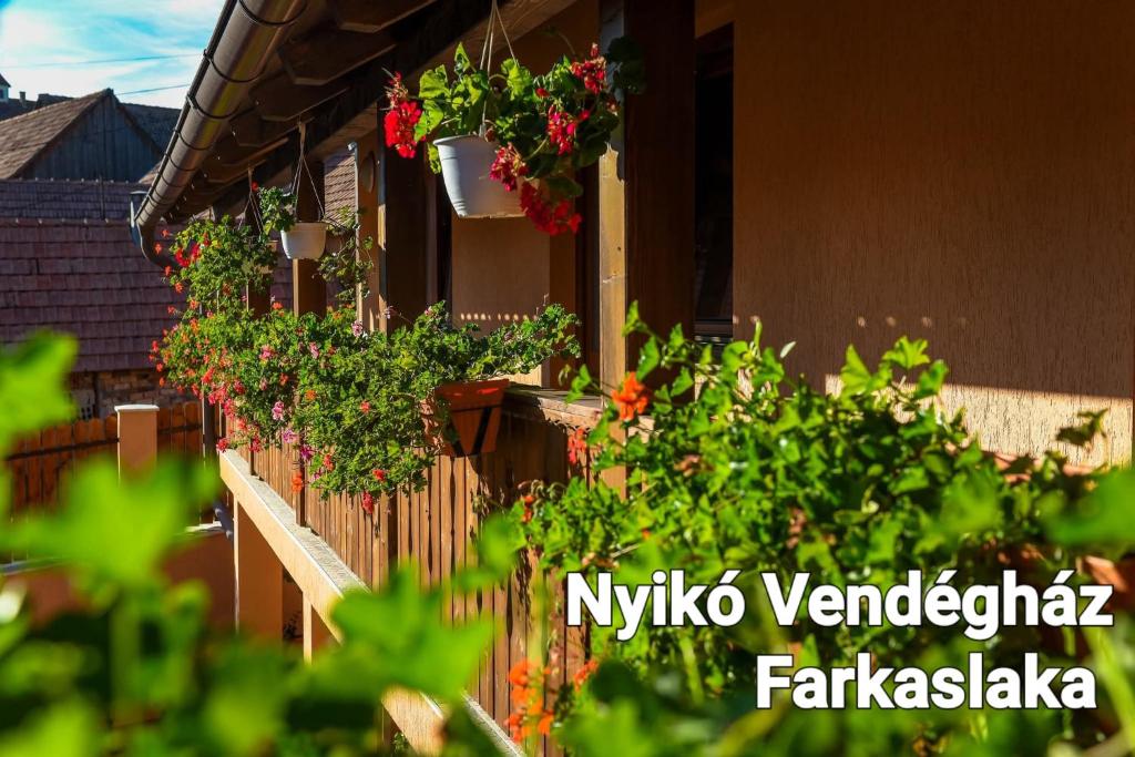 a building with potted plants on the side of it at Nyiko Vendégház in Lupeni