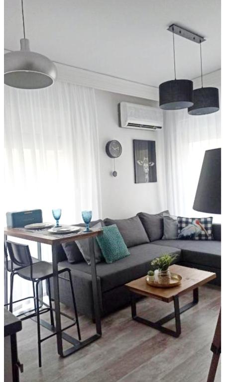 DOWN TOWN Luxurious Apartments (2)