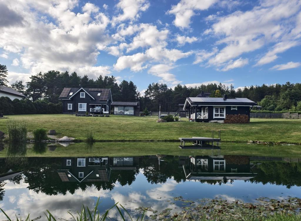 a house next to a pond with a house at GREY PINE HOUSE in Druskininkai
