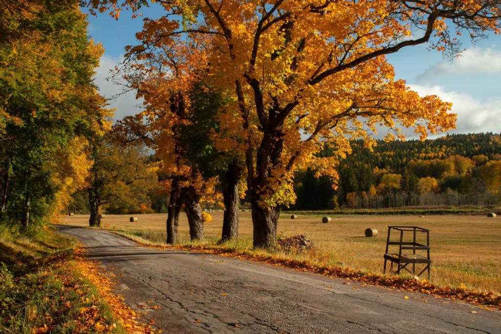 a road in the middle of a field with trees at Premium Stuga, Near Göta Canal & Tiveden National Park in Undenäs