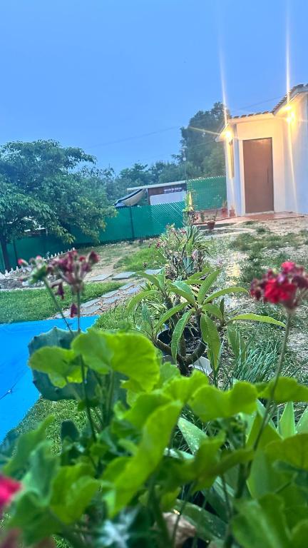a garden with flowers and plants in a yard at Casa ie in Santa María Azompa