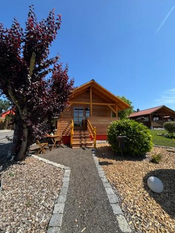 a log cabin with a pathway leading to a house at Naturcamp Duvendiek Blockhäuschen in Niepars