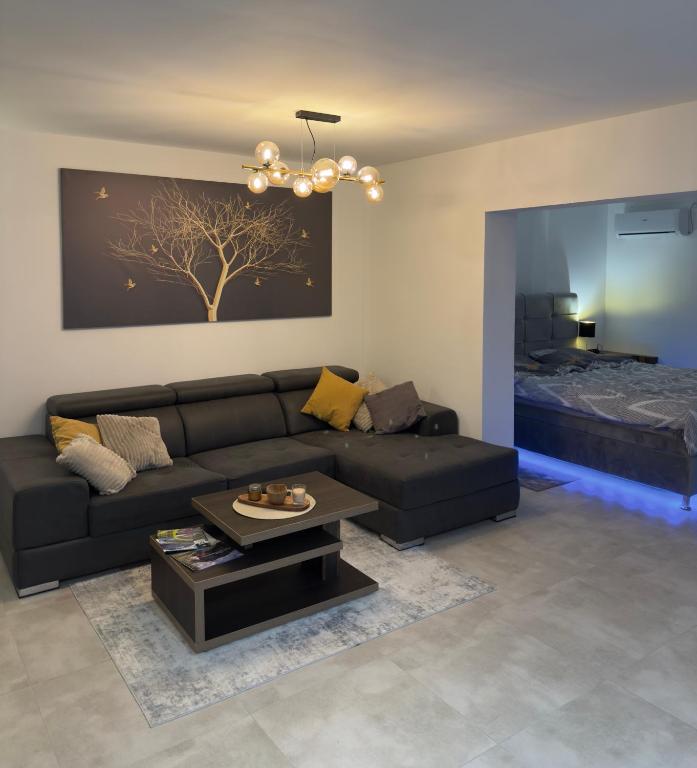 a living room with a black couch and a table at HARMONY STONE ViLLA in Ovčar Banja