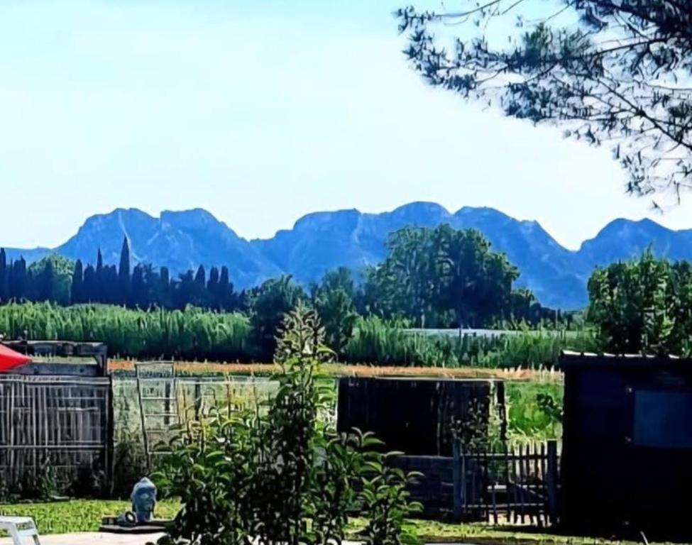 a view of a garden with mountains in the background at Chambre des Alpilles in Eygalières