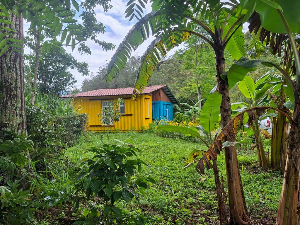 a yellow and blue house in the middle of a forest at Kolibri Containers Boyacá in Guayatá