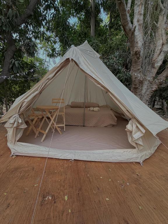 a tent with a bed and a table in it at BajaRoots Glamping in San José del Cabo