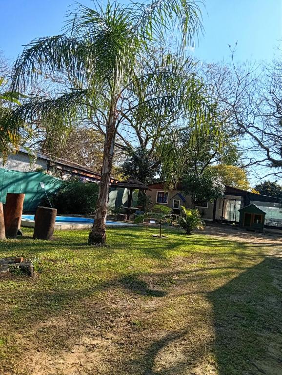 a palm tree in the yard of a house at Cabaña La Churra in Corrientes