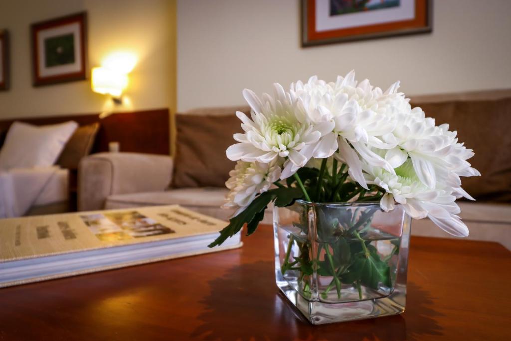 Hotel Camoes - Resim 13