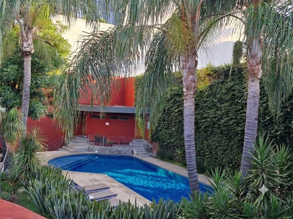a swimming pool with palm trees in front of a building at Hotel Boutique Abad in Guadalajara