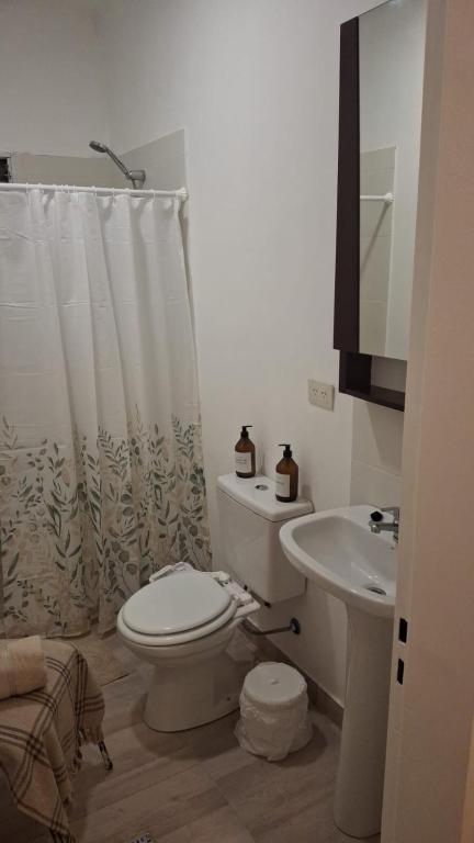 a white bathroom with a toilet and a sink at Espacio Patagonico in Comodoro Rivadavia