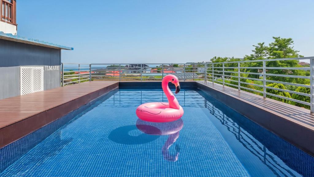 a pink swan in a swimming pool on a building at Taean anmyeondo hwangdo ilmare Pension in Taean