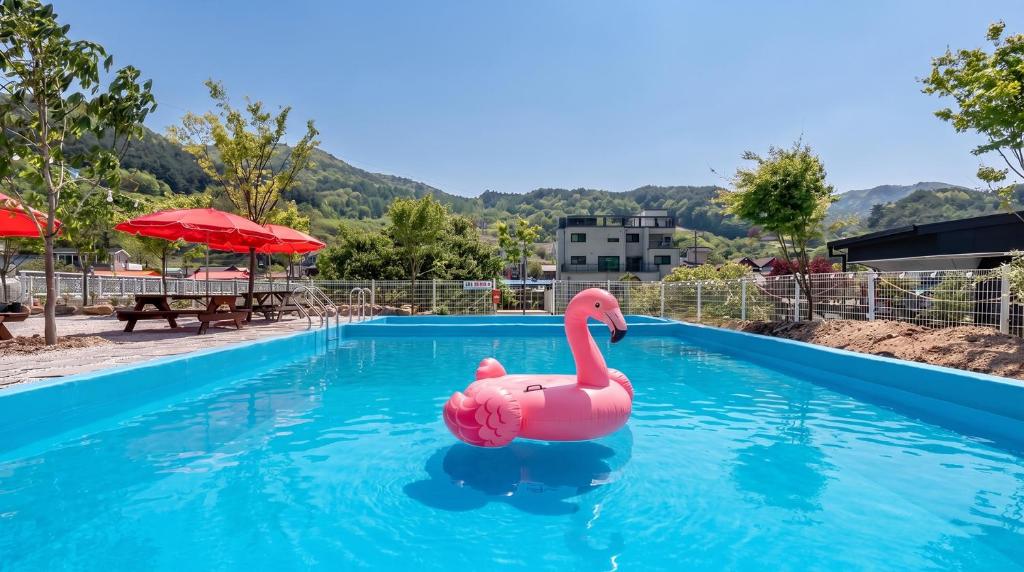 a pink inflatable flamingo in a swimming pool at Muju Land Camping Glamping in Muju